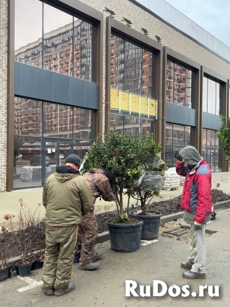 Краснодар изображение 8