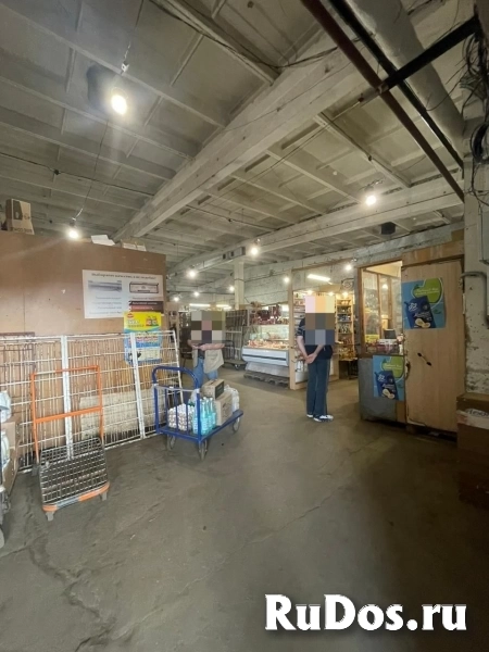 Сдам коммерческую недвижимость 253.1 м2 изображение 4