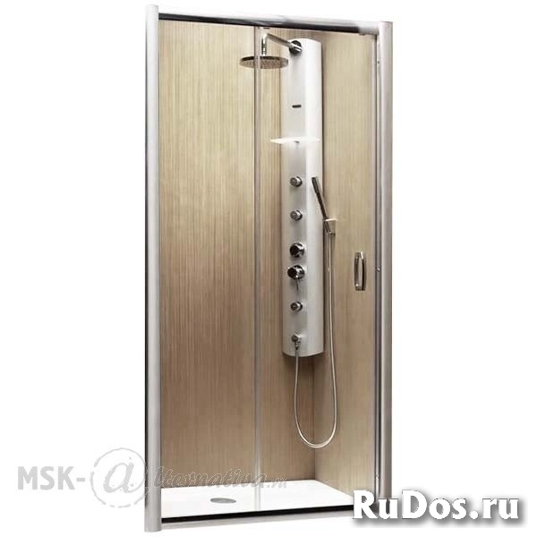 Душевая дверь Radaway Premium Plus DWJ 150 33343-01-01N фото