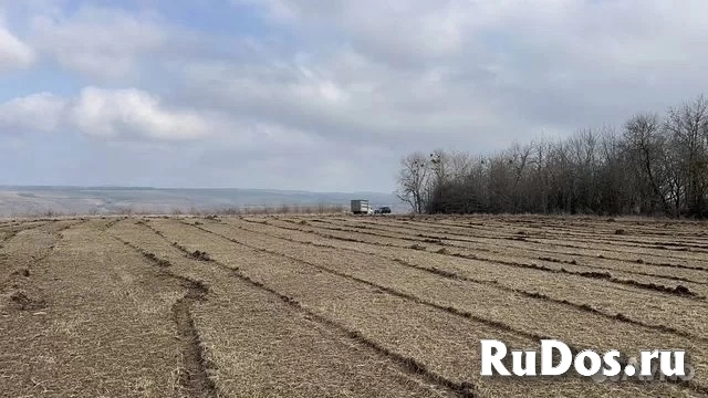 Мульчер гусеничный от 1 гектара изображение 6