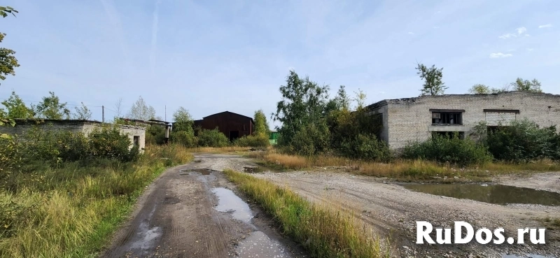 Продам коммерческую недвижимость 4945 м2 Продам коммерческую недвижимость 4945 м2 фото