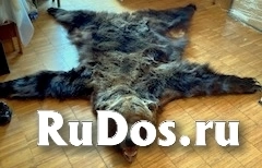 , частное объявление изображение 5