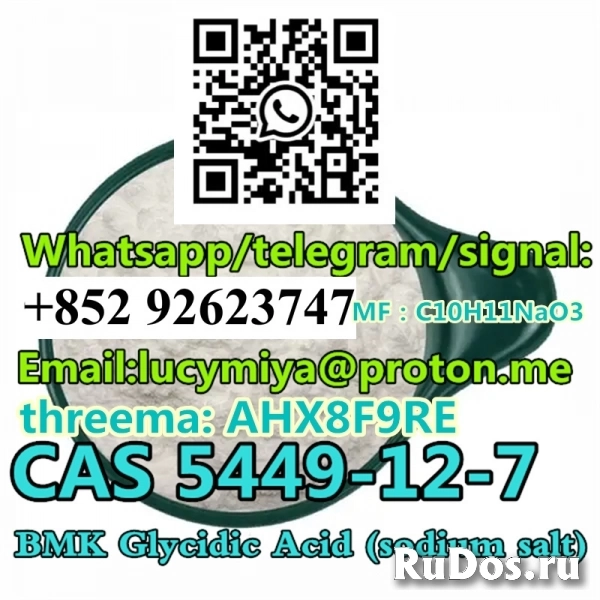 CAS 5449-12-7 New BMK  (sodium salt) фото