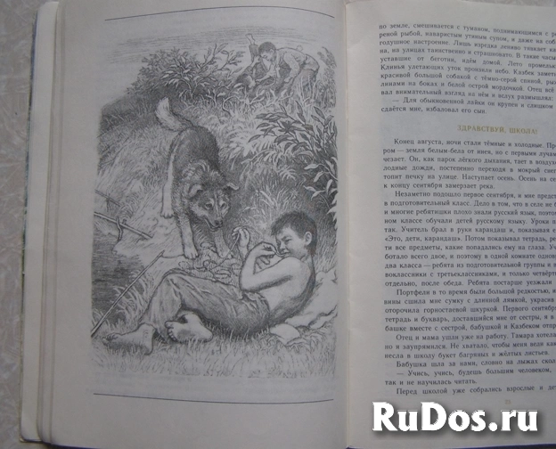 книга для детей про животных Г. Дьячков КАЗБЕК изображение 4