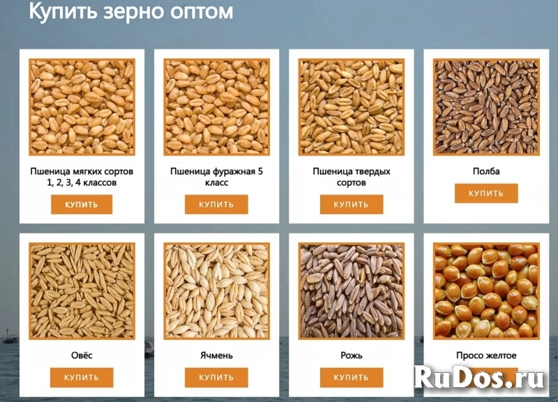 ООО Агропром - оптовая реализация продуктов питания экспорт изображение 4