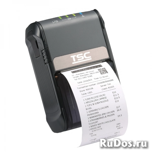 Принтер этикеток TSC Alpha-2R+Wifi (99-062A003-01LF) фото