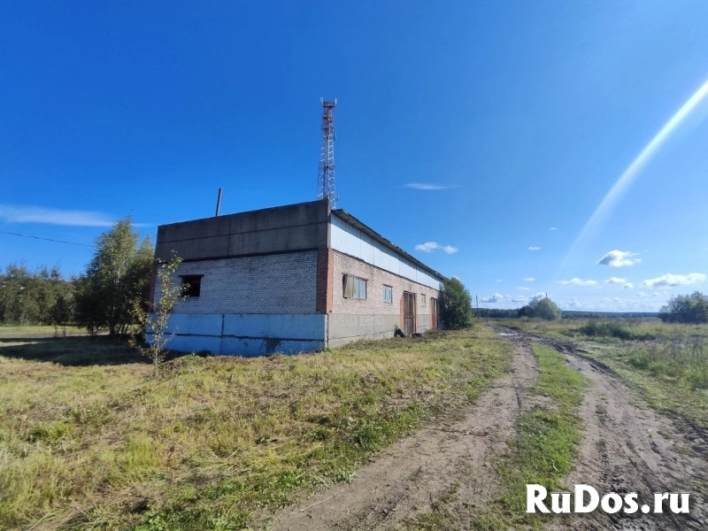 Сдам коммерческую недвижимость 550 м2 изображение 8