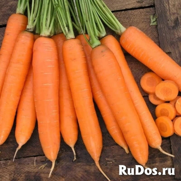 Морковь сиркана F1 1,8-2,0 (1 000 000 семян) Nunhems фото