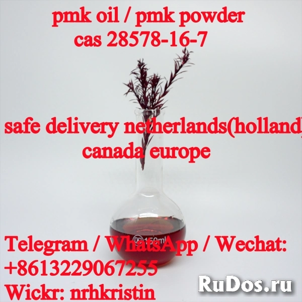 New Pmk Oil CAS 28578-16-7 Pmk Powder /New Bmk Oil CAS 459-03-0 фотка