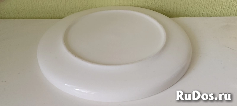 Тарелка фарфоровая фотка