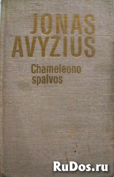Роман на литовском языке фото