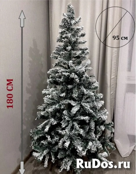 , купить растения фотка