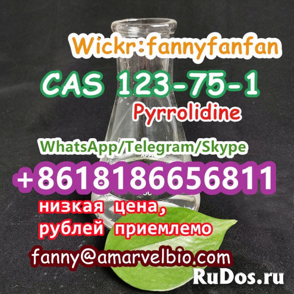 WhatsApp +8618186656811 CAS 123-75-1 Pyrrolidine изображение 5