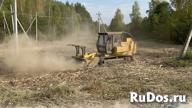 Корчевание, выкорчевка деревьев и пней изображение 10