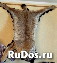 , частное объявление изображение 4