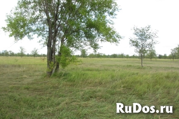 Продам коммерческую недвижимость 2300 сот изображение 4