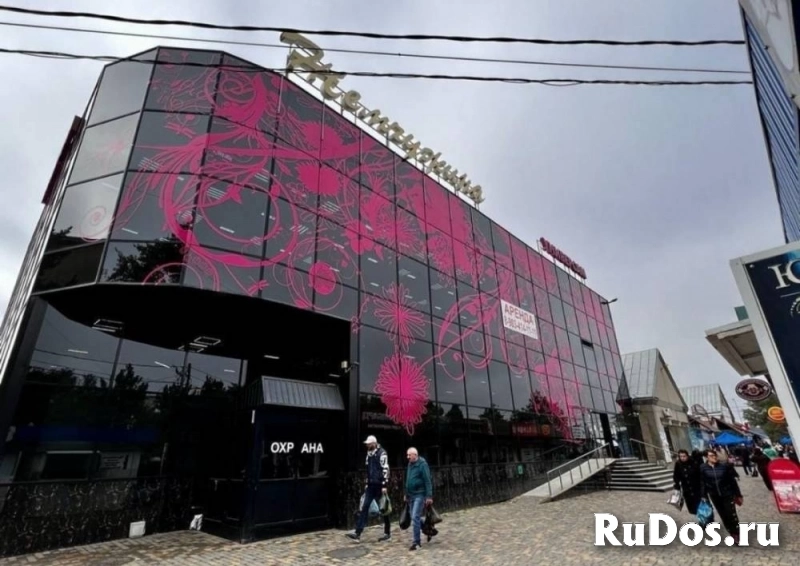 Сдам коммерческую недвижимость 524 м2 фото