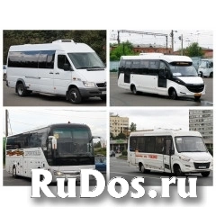 Водитель автобуса/микроавтобуса категории Д фото