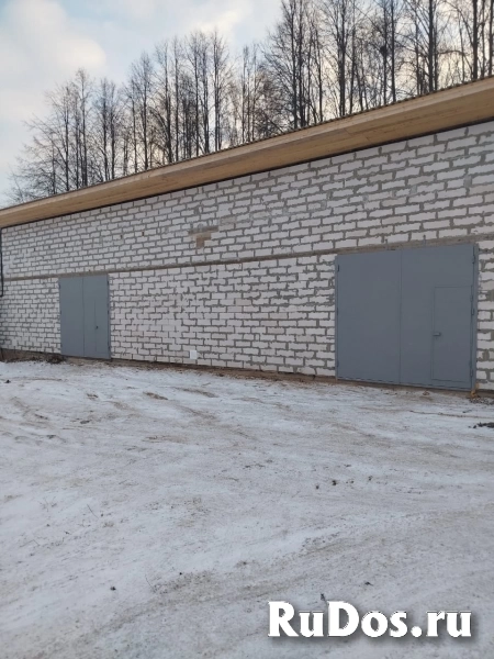 Сдам коммерческую недвижимость 270 м2 изображение 3