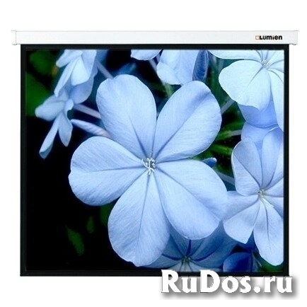 Экран для проектора Lumien Master Picture 179x280 см Matte White FiberGlass LMP-100135 фото