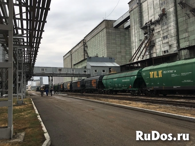 Высококачественное подсолнечное масло оптом от производителя фотка