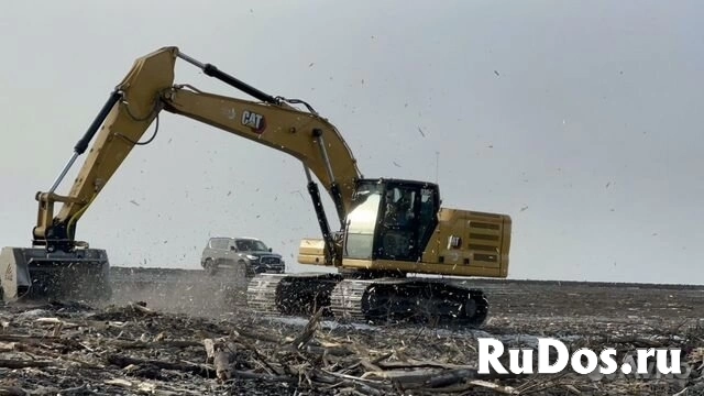 Гусеничный мульчер, расчистка от деревьев изображение 4