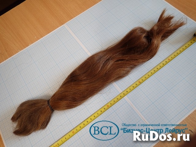 Волос натуральный женский русый неокрашенный срез длина 500мм изображение 3