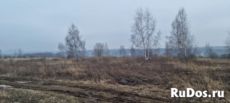 Продам участок 1801 сот. изображение 6