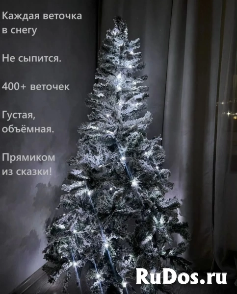 , купить растения фото