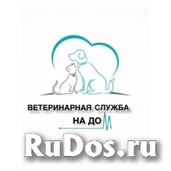 Координатор отдела продаж фото