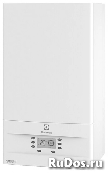 Газовый котел Electrolux GB 30 Basic Space S Fi 30.2 кВт одноконтурный фото