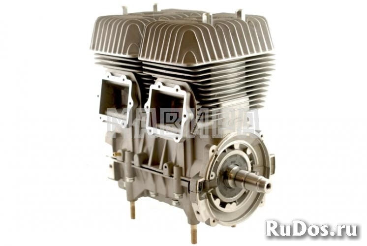 Двигатель РМЗ-550 без навесного Тайга фото