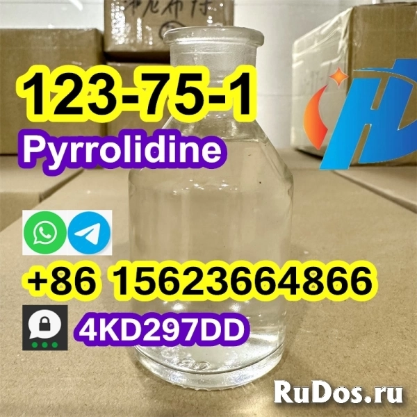 Buy China Factory Pyrrolidine, cas 123-75-1, Kazakhstan, Russia изображение 10