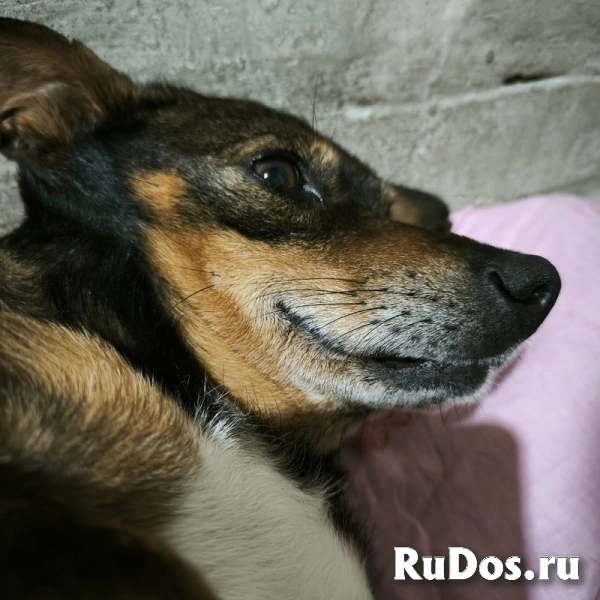 Чудесный мальчик Митя из приюта ищет семью. изображение 8