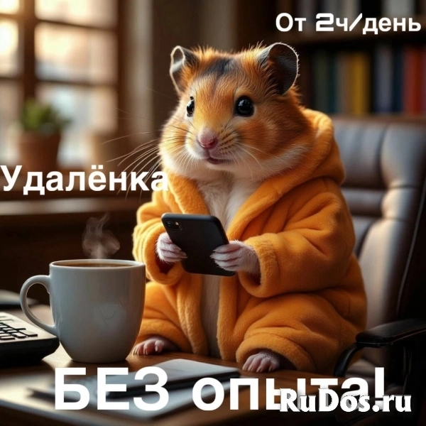 Удаленный HR-менеджер (от 2 часов/день). Без опыта. Только телефон! фото