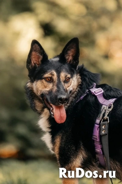 Макена ищет дом. фотка