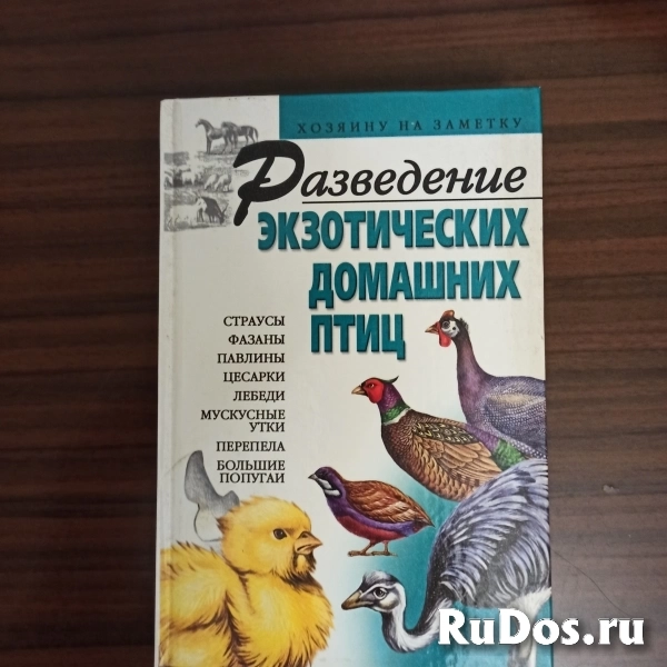 Разведение экзотических домашних птиц"страусы,фазаны,павлины,цеса фото