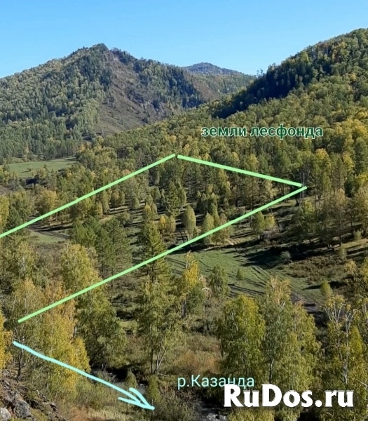 Участок 1.5 га на Алтае в горах у речки, в дали от цивилизации изображение 7