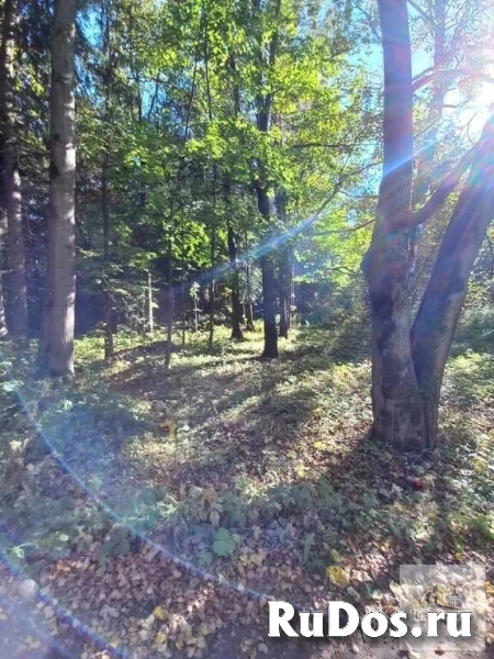 Продам коммерческую недвижимость 100 сот фотка