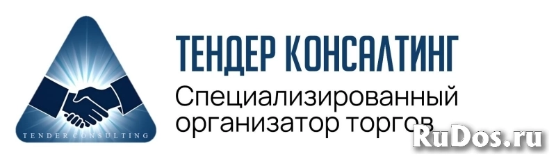 spec-org Организация и проведение электронных торгов/тендеров фото
