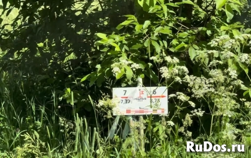 Продам участок 7.7 сот. изображение 4