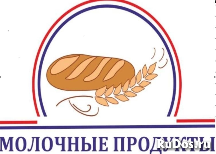 Пекарь-тестомес фото