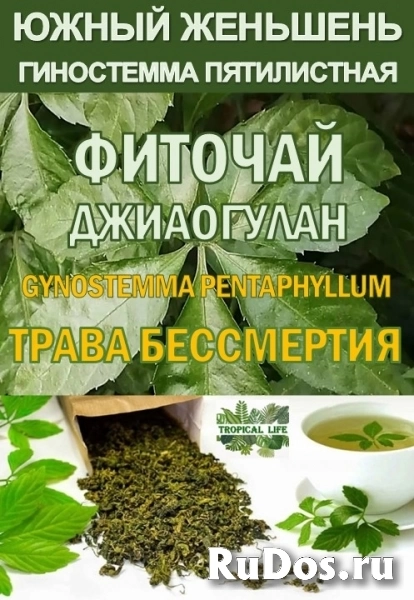 Гидролаты и функциональные купажи ProGynuru — сила тропических растений для здоровья и красоты. изображение 5