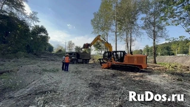 Мульчер гусеничный от 1 гектара изображение 8