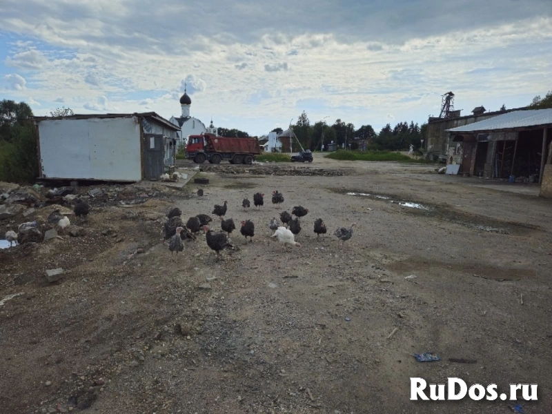 Сдам коммерческую недвижимость 80 сот изображение 5