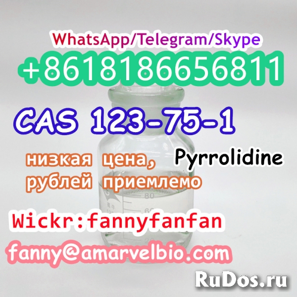 WhatsApp +8618186656811 CAS 123-75-1 Pyrrolidine изображение 3