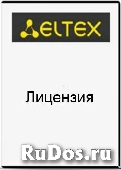 Лицензия ELTEX SMG2-RESERVE-L для активации резервирования по IP в режиме master-slave на платформе SMG-2016 фото