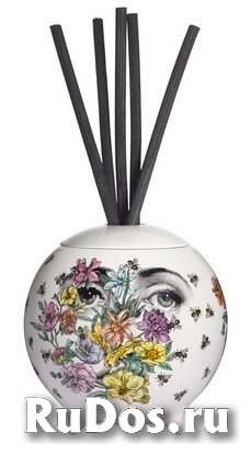 Fornasetti Profumi Сфера с 6 тростниками фото