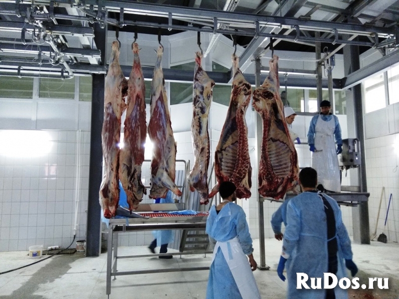 Подвесной трубчатый путь для линии убоя изображение 3