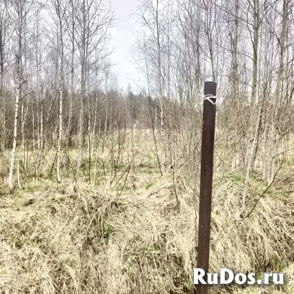 Продам земельный участок фотка